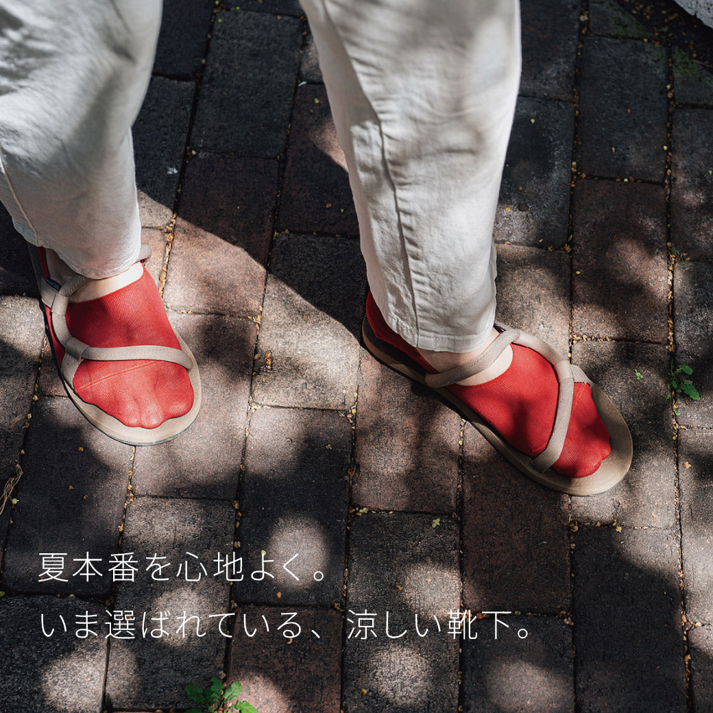 夏本番を心地よく。いま選ばれている、涼しい靴下