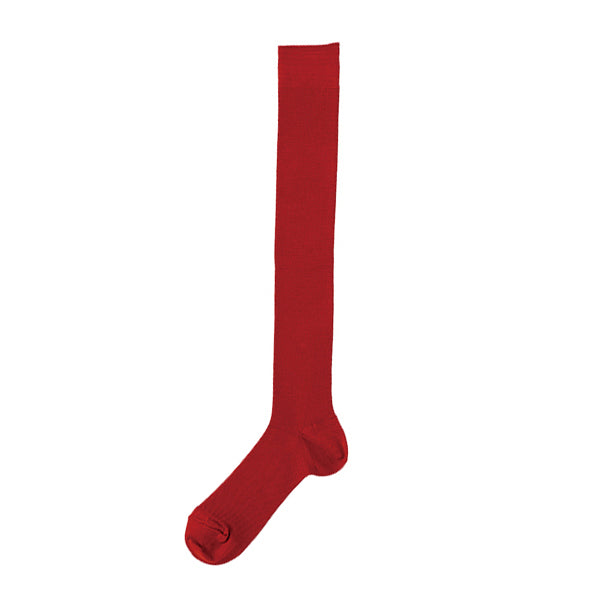 Silk Ribbed High Socks / hakne